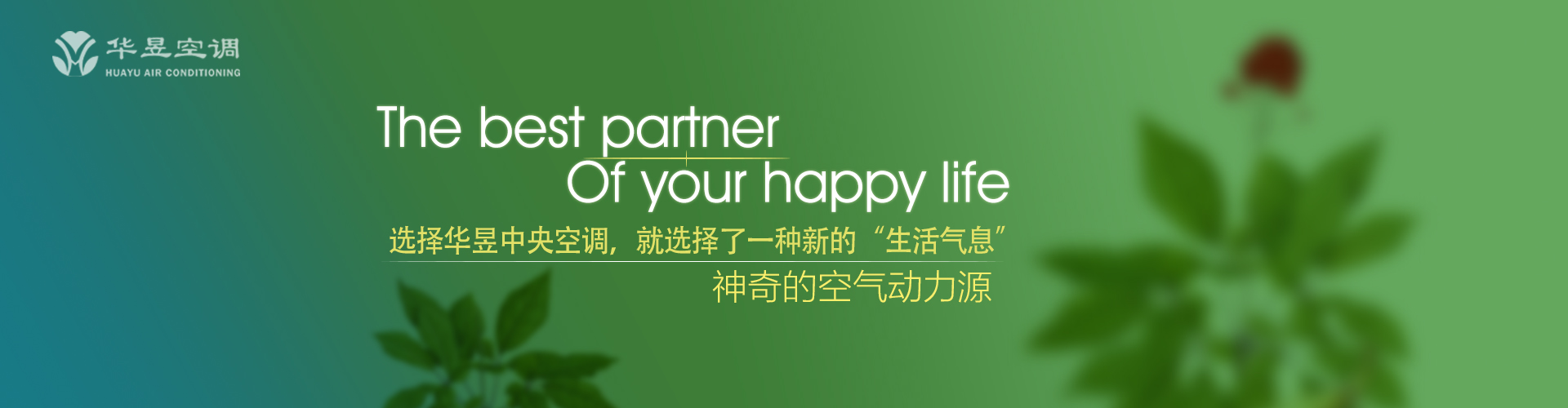 逾淮之橘网